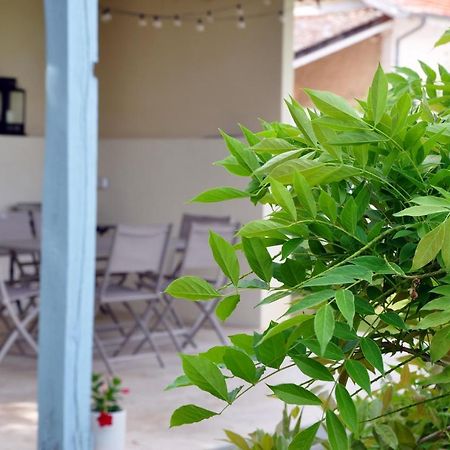 Clos Saint Sauveur - Guesthouse Au Coeur Des Vignes Sur Le Coteau 外观 照片