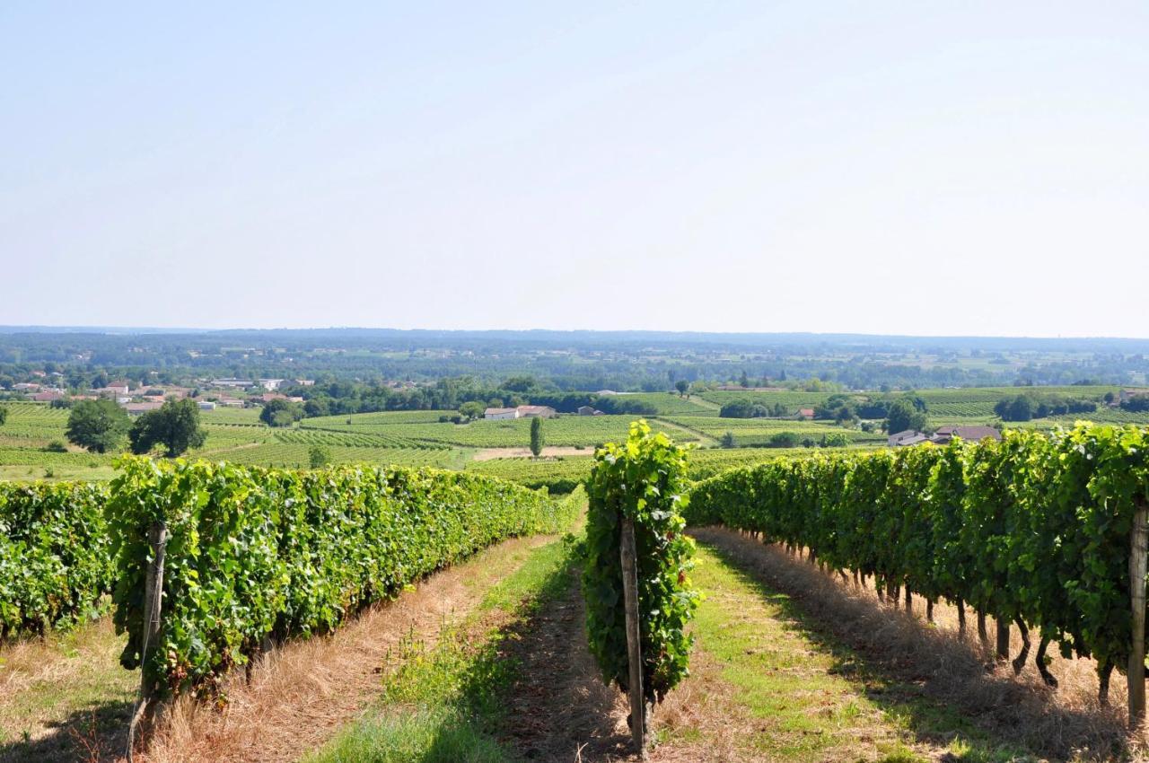 Clos Saint Sauveur - Guesthouse Au Coeur Des Vignes Sur Le Coteau 外观 照片