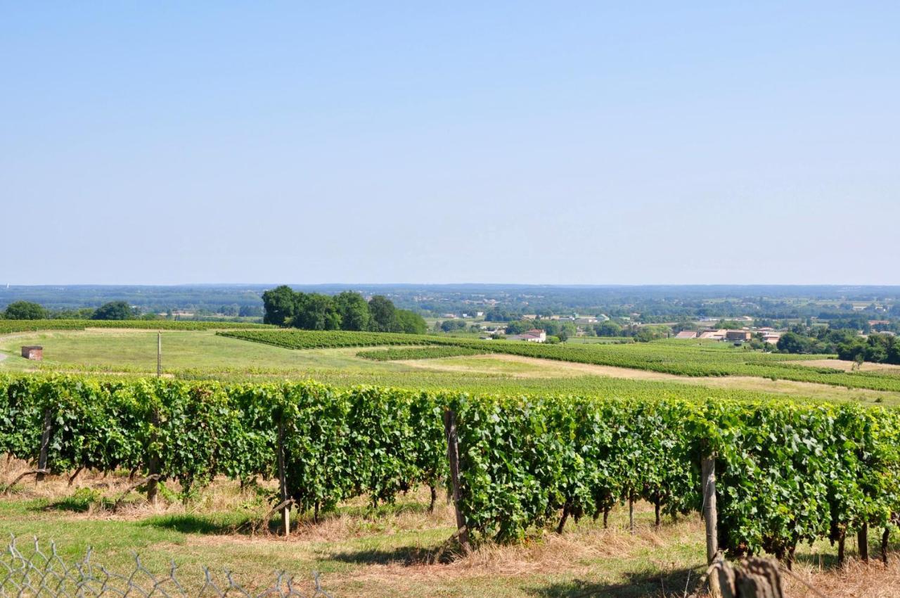 Clos Saint Sauveur - Guesthouse Au Coeur Des Vignes Sur Le Coteau 外观 照片