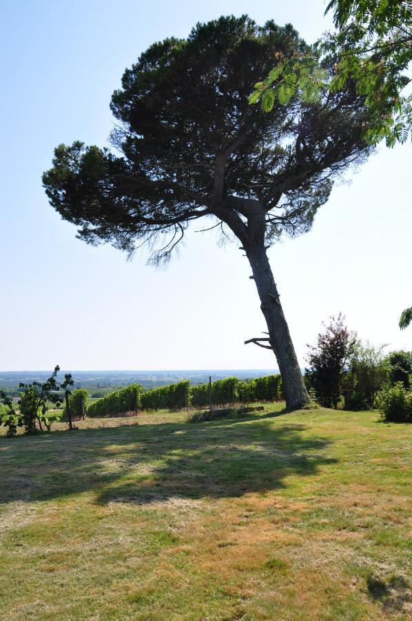Clos Saint Sauveur - Guesthouse Au Coeur Des Vignes Sur Le Coteau 外观 照片